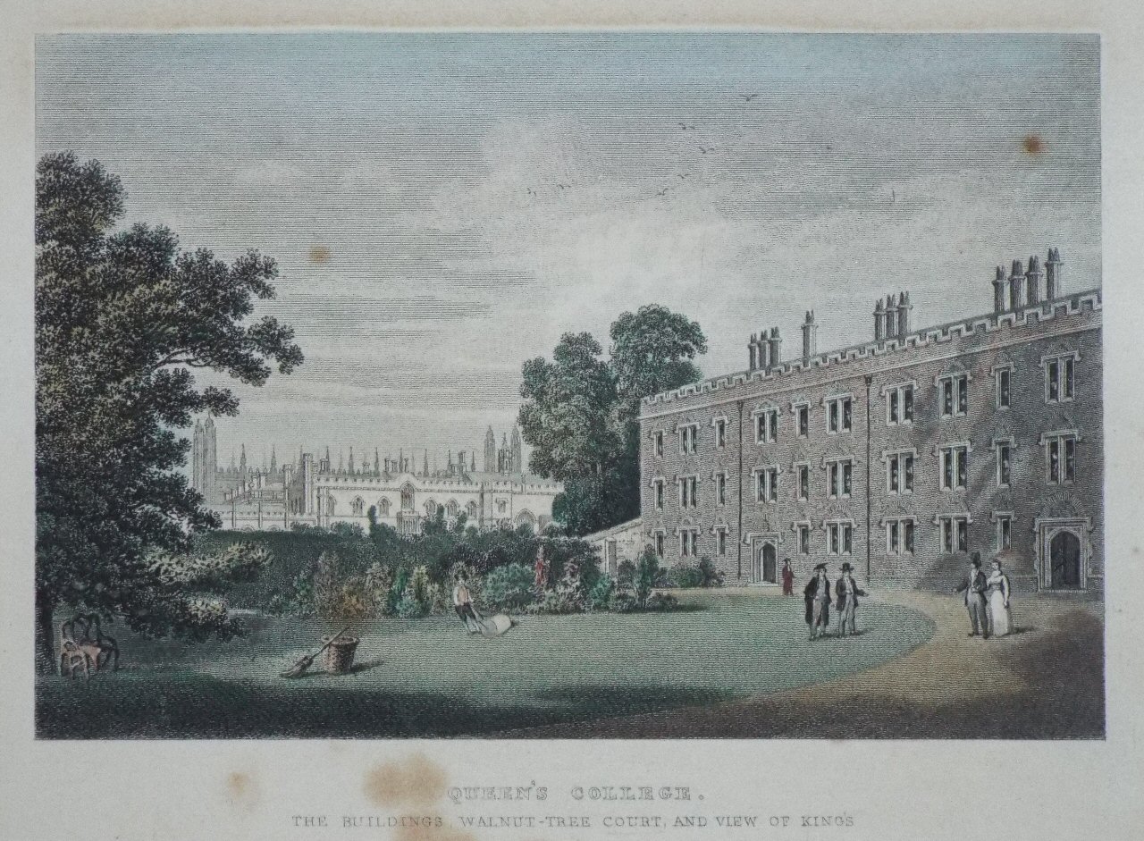 Print - Queen's College. The Buildings, Walnut-Tree Court and View of King's. 